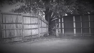 1279 outdoor porn videos